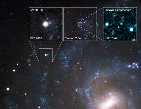 Supernova SN 2001ig.