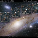 5 Outubro 2018 Destaques