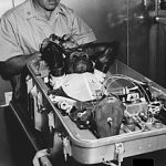 29 Novembro 2018 Destaques