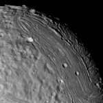 24 Janeiro 2019 Destaques