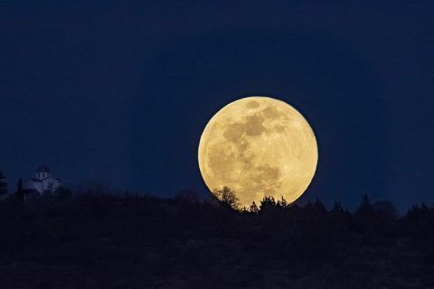 O Meu Diário da Lua