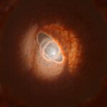 Torto, mas maravilhoso Destaques