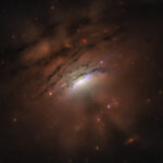 Jogo de sombras Destaques