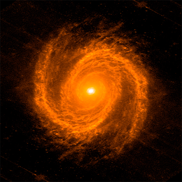 A galáxia Messier 81.
