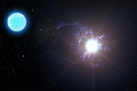 Magnetars Origin Story